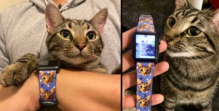 Pulseira de relógio Apple com retrato de arte para animais de estimação personalizado,