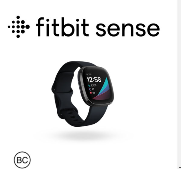 [PDF] Download do manual do usuário do Fitbit Sense